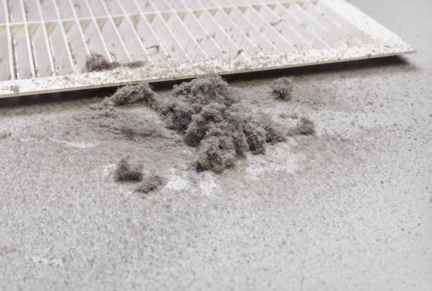 Best Professional Duct Cleaning Services  in Dewart, PA