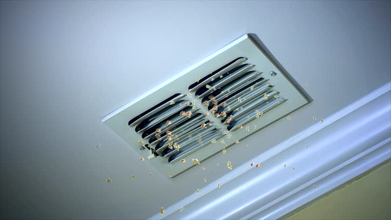 Best Ventilation Cleaning Services  in Dewart, PA