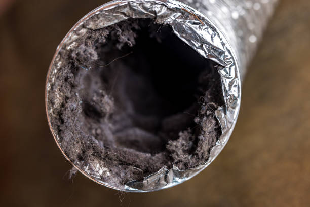 Best Air Duct Cleaning Near Me  in Dewart, PA